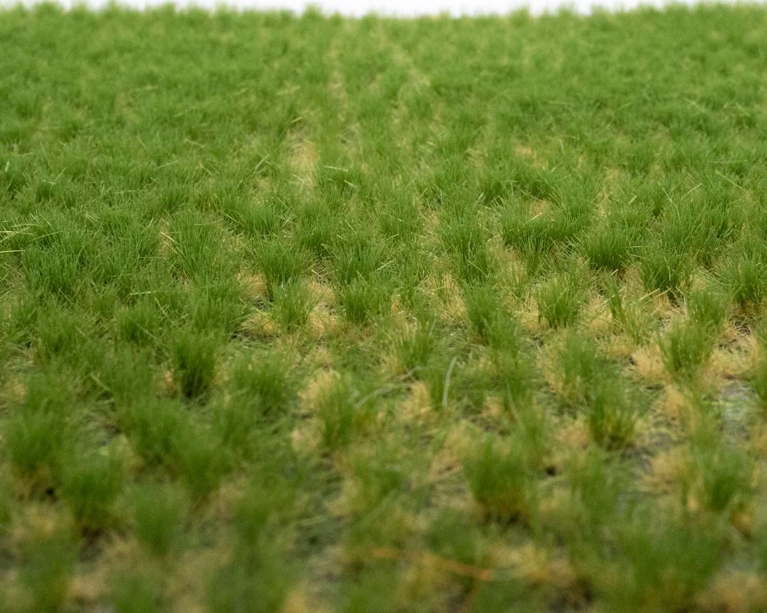rts-greenkeeper-b-schel-grasb-schel-sommer-tufts-148x210-mm image 1