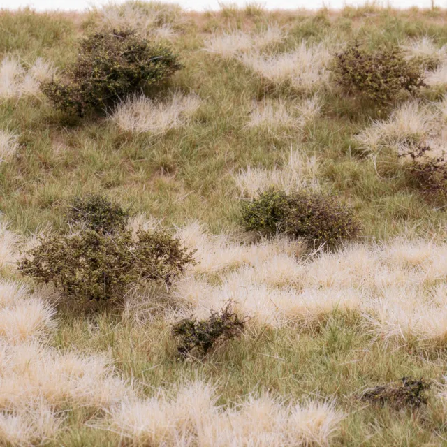 rts-greenkeeper-gr-ser-grasmatte-wildwuchs-sommer-30x21-cm image 1