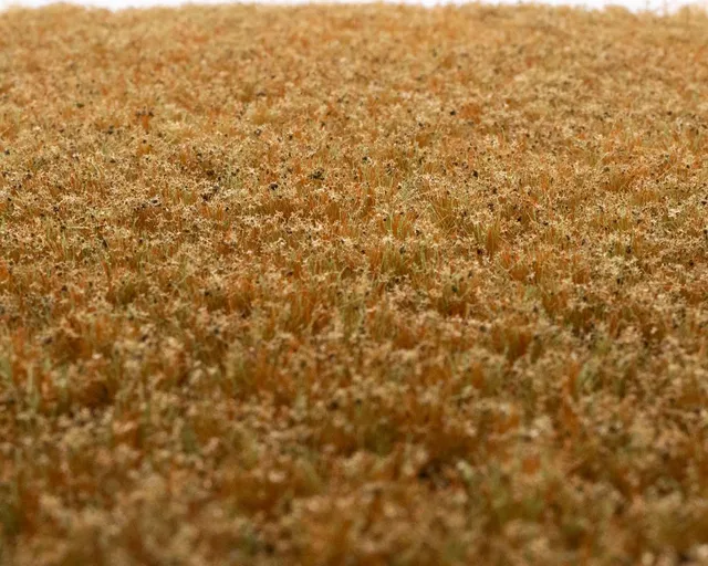 rts-greenkeeper-unkrautb-schel-wintergras-148x210-mm image 1