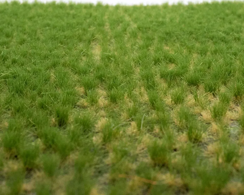 rts-greenkeeper-b-schel-grasb-schel-sommer-tufts-148x210-mm image 1