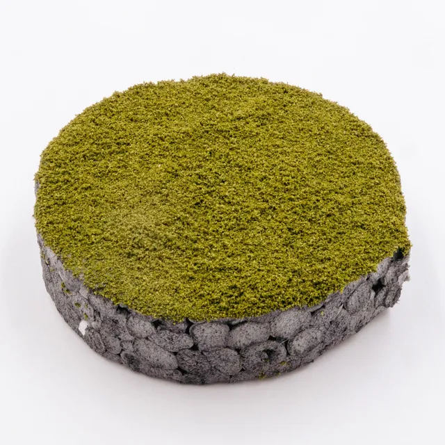 rts-greenkeeper-turfs-nano-turf-strauchgr-n-streugras image 1