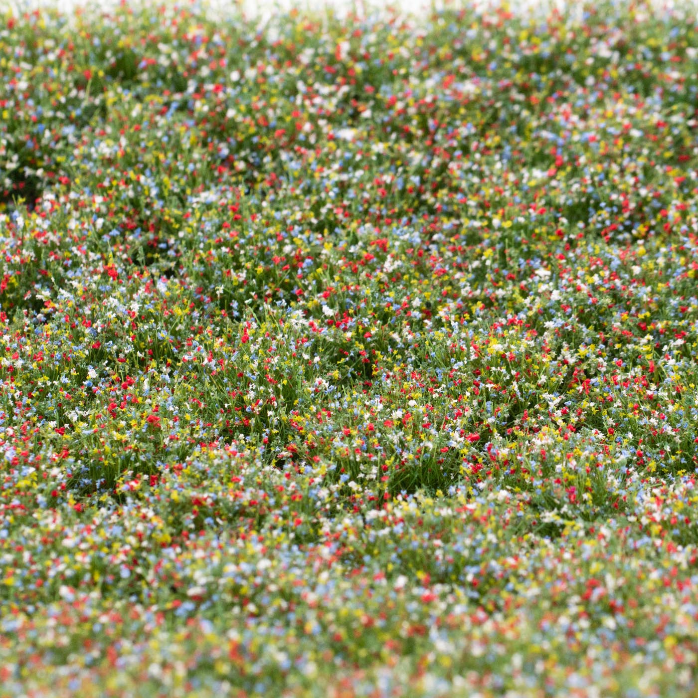 rts-greenkeeper-b-schel-bl-tenb-schel-bienenweide-148x210-mm image 1