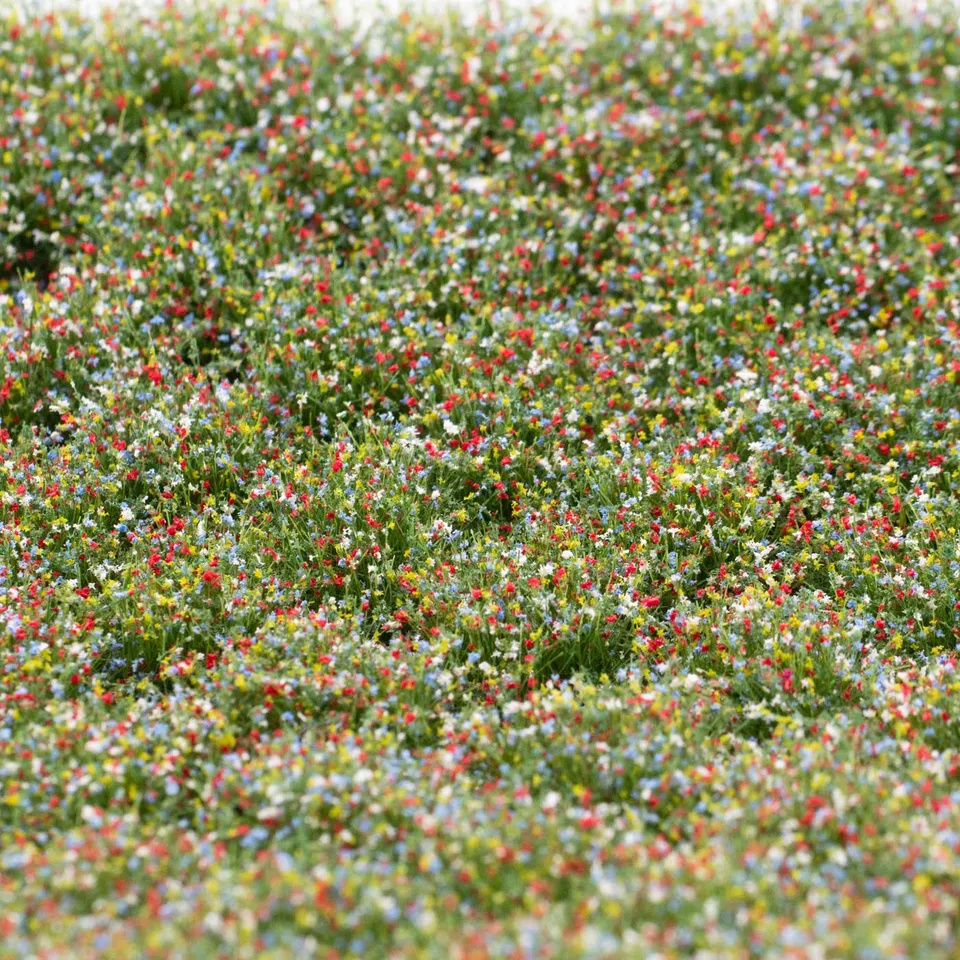 rts-greenkeeper-b-schel-bl-tenb-schel-bienenweide-148x210-mm image 1