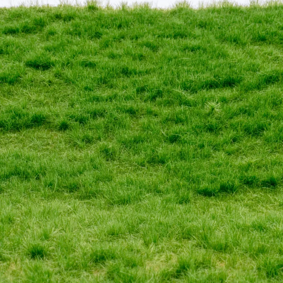 rts-greenkeeper-gr-ser-grasmatte-fr-hsommer-wiese image 1