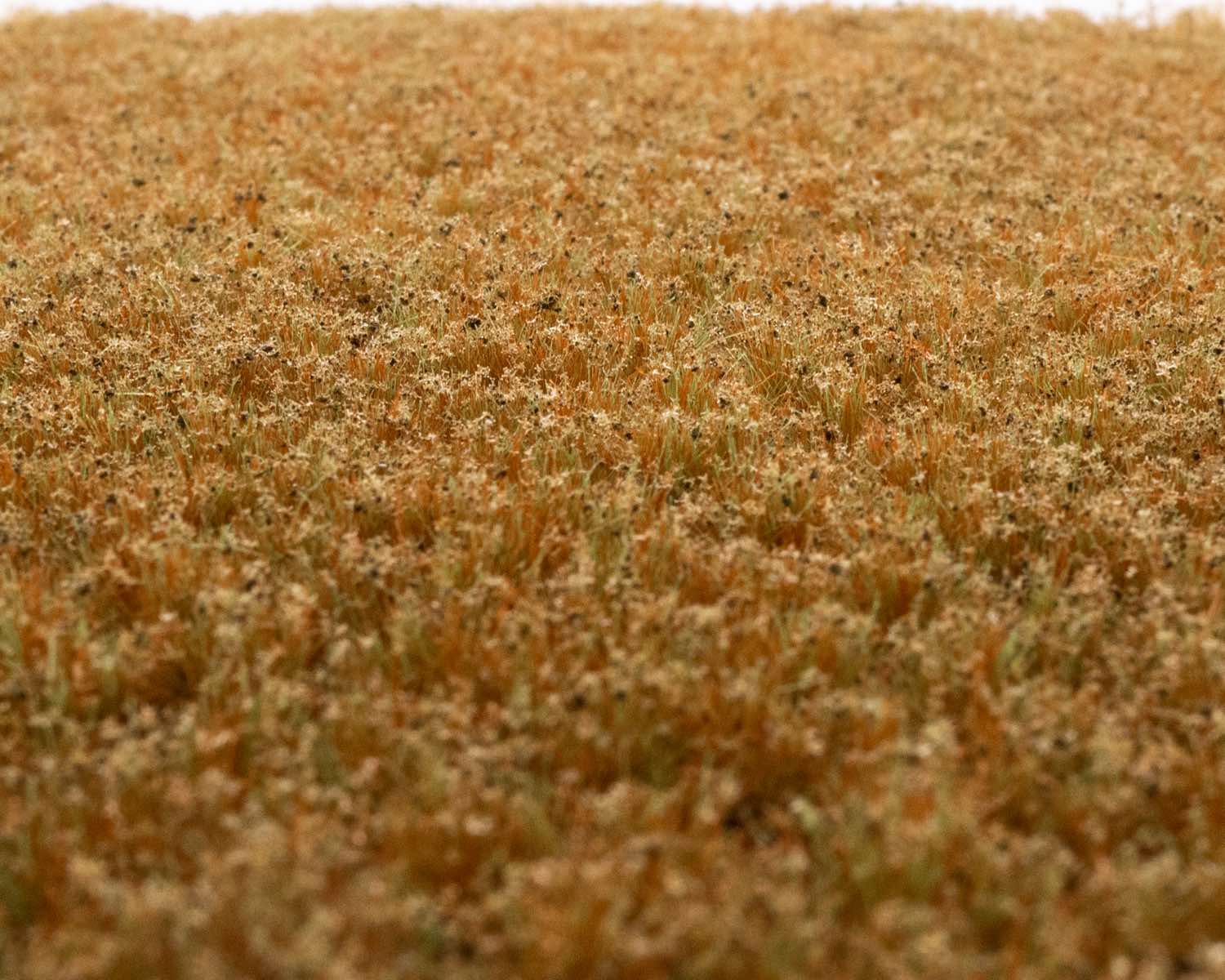 rts-greenkeeper-unkrautb-schel-wintergras-148x210-mm image 1