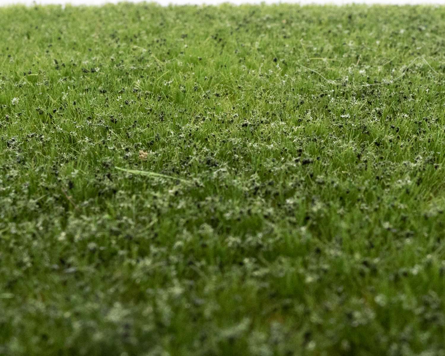 rts-greenkeeper-unkrautb-schel-sommer-148x210-mm image 1