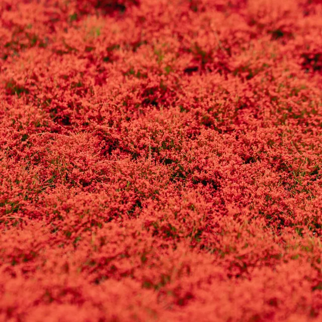 rts-greenkeeper-b-schel-bl-tenb-schel-rot-148x210-mm image 1