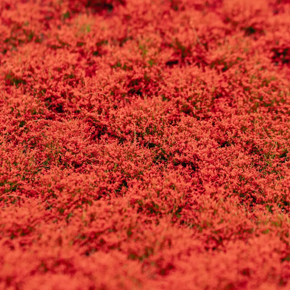 rts-greenkeeper-b-schel-bl-tenb-schel-rot-148x210-mm image 1