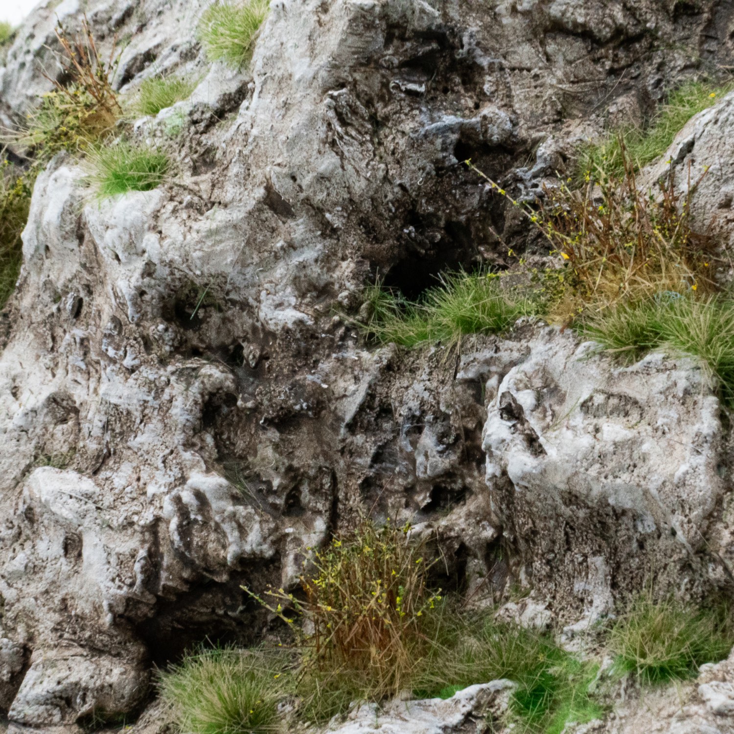 rts-greenkeeper-bodengestaltung-modellbauspachtel-ultraleicht-spachtelmasse-acry image 8