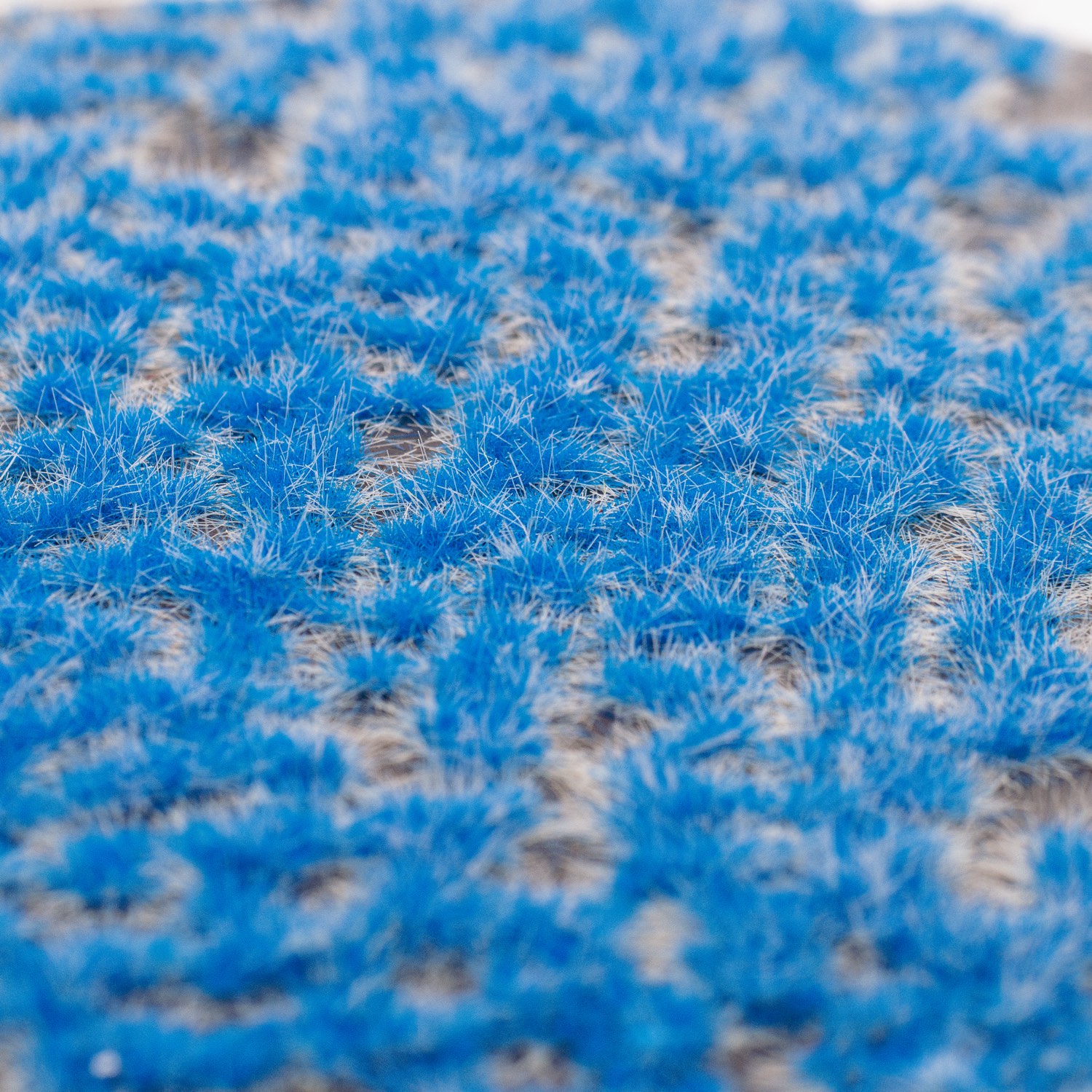 rts-greenkeeper-b-schel-blue-frost-grasb-schel-10x15-cm image 1