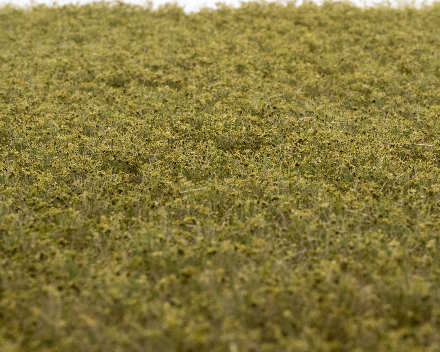 rts-greenkeeper-unkrautb-schel-fr-hherbst-grasb-schel-herbst image 1