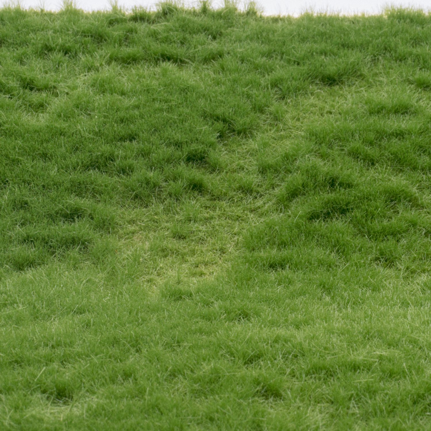 rts-greenkeeper-gr-ser-grasmatte-sommer-flexibel image 1